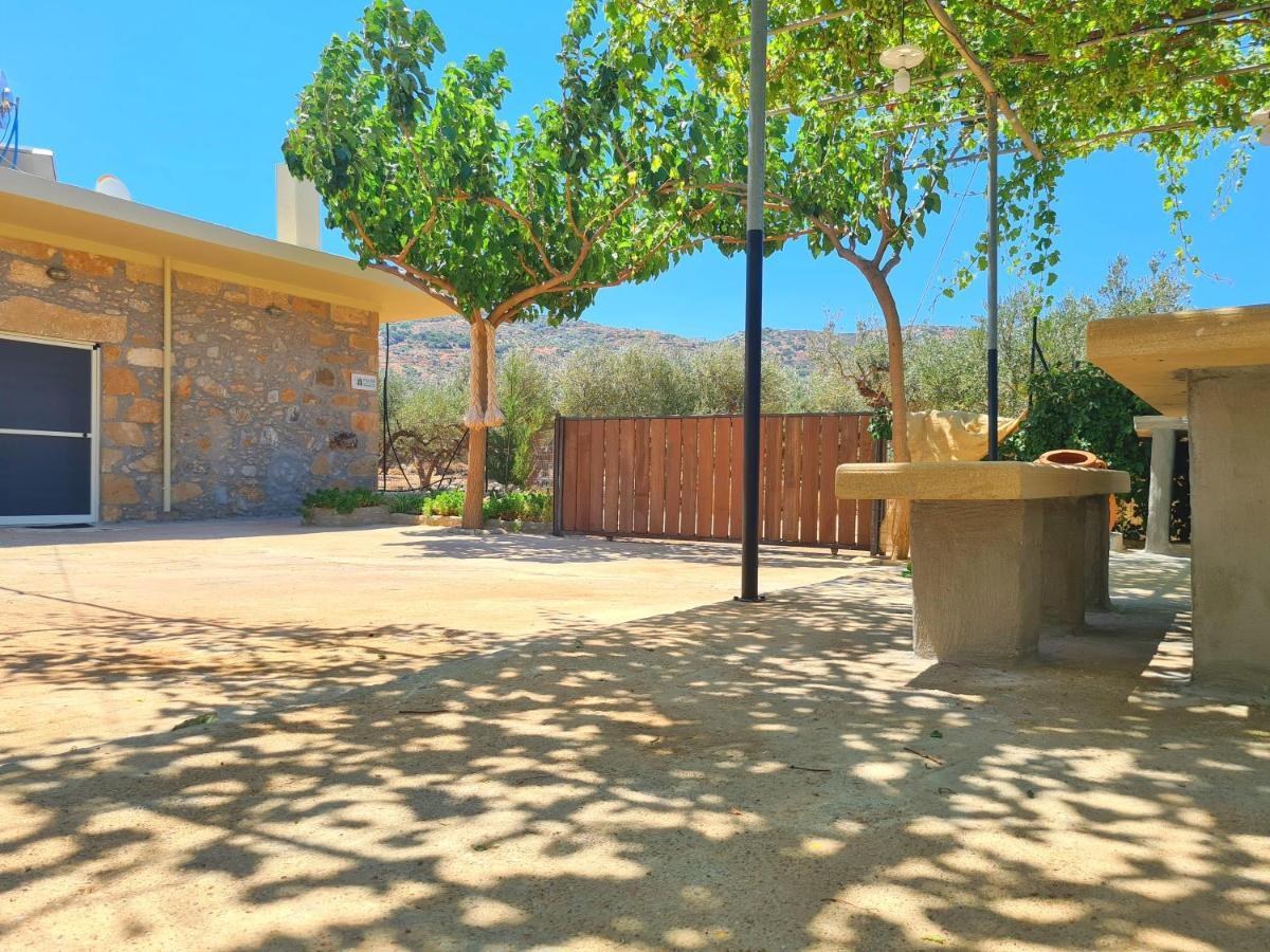 Pause Serenity House Into Olive Groves Βίλα Agios Fotios Εξωτερικό φωτογραφία