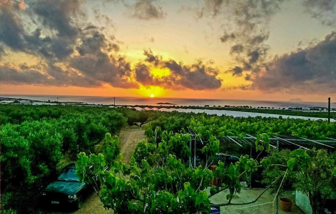 Pause Serenity House Into Olive Groves Βίλα Agios Fotios Εξωτερικό φωτογραφία